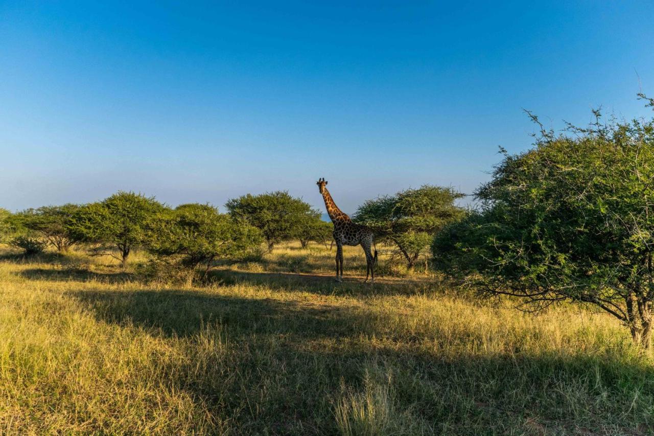 Kwanathi Lodge Beestekraal  Luaran gambar